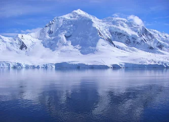 Deurstickers antartica revealed and discovered © littrato