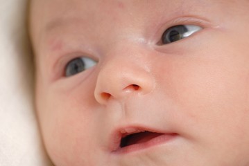 bebe