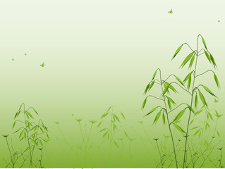 Fototapeta na wymiar Grass and oats silhouette, vector