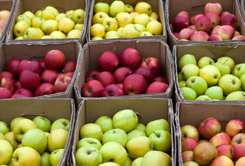 Apples in the boxes