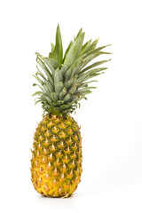 Fototapeta premium Pineapple