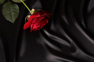 smooth black satin and red rose