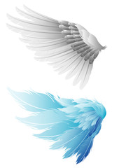 Wing