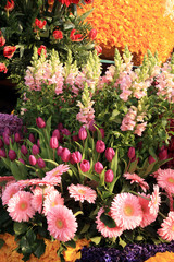 Bouquet of spring flowers