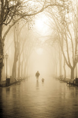 Walking men with dog in fog