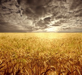 country