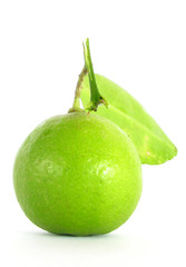 green lime