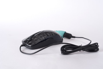 computer mouse