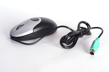 computer mouse