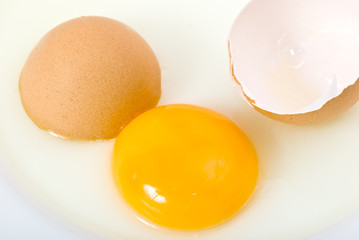 Cracked brown egg