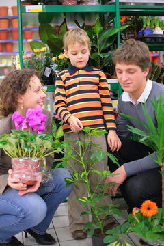 Parents with child in flower shop