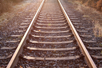 Fototapeta premium Weg ins Licht