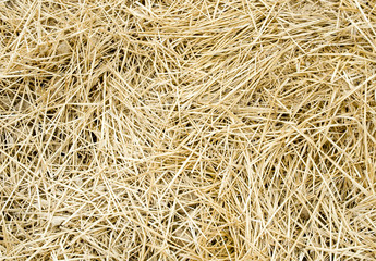 straw background