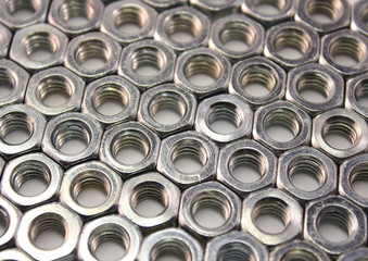 Nuts nuts Everywhere