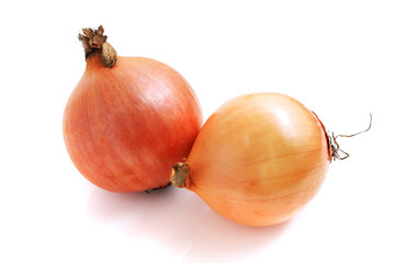 Fototapeta premium Onion