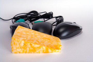 computer mouses