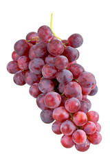 Grape cluster