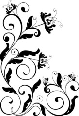 floral ornament - vector