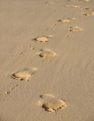Spuren im Sand