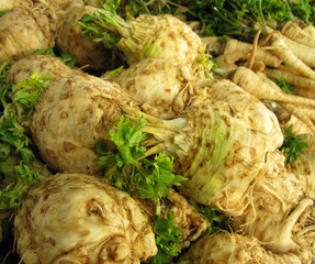 Celery