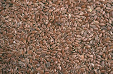 Closeup view of flix seeds - background