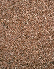 Closeup view of flix seeds - background