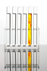 Reagenzglas f&uuml;r Versuche in einem Chemie Labor