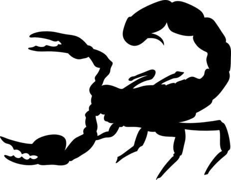 scorpion vector silhouettes