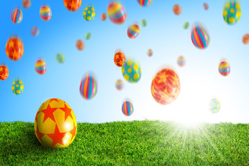 Egg in Grass