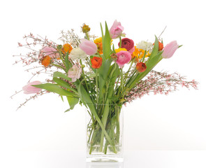 Naklejka premium fiori di primavera