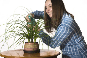 Woman spraing the plant