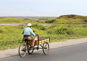 Tricycle Cart Transport