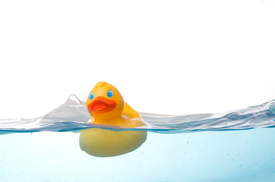 Rubber Duck in Water