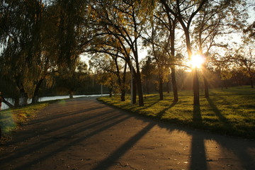 Autumn in Tineretului Parc - Bucharest