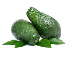 fresh green avocado fruits with leaf isolated on white