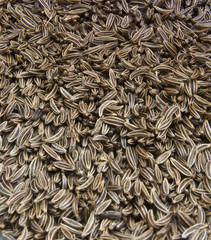 Caraway seeds