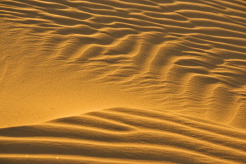 desert sand in evening sun