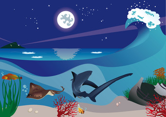 Paesaggio marino notturno © crazycolors