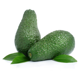 fresh green avocado fruits with leaf isolated on white