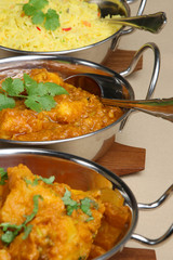 Indian Curry Selection