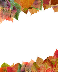 Frame from autumn leaves