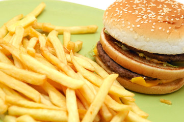 delicious cheeseburger with fries