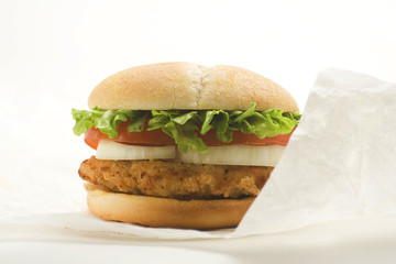 crisp chicken burger with tomato onion cheese lettuce