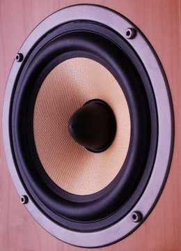 Close-up photo of midbass speaker made of kevlar