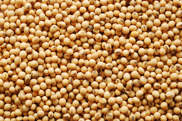 soy beans background