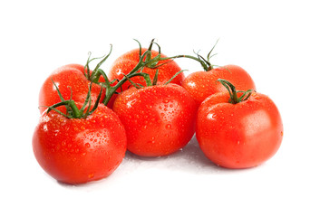 branch of tomato isolated over a white background