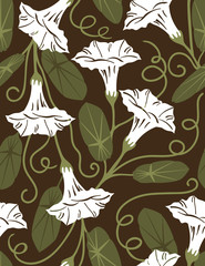 Bindweeds - seamless pattern