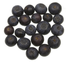 Blueberries Isolated on White