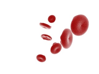 Blood Cell - Close Shot