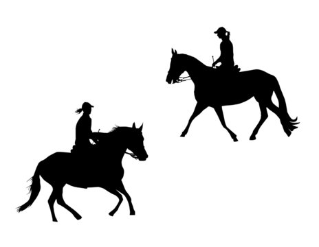 horses and riders - vector